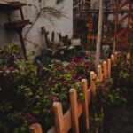 Tips for Creating a Sustainable and Enjoyable Home Garden Year-Round