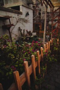 Tips for Creating a Sustainable and Enjoyable Home Garden Year-Round