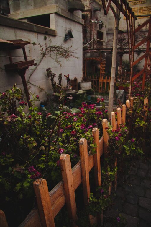 Tips for Creating a Sustainable and Enjoyable Home Garden Year-Round